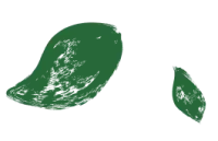 Décoration feuilles