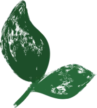 Décoration feuilles